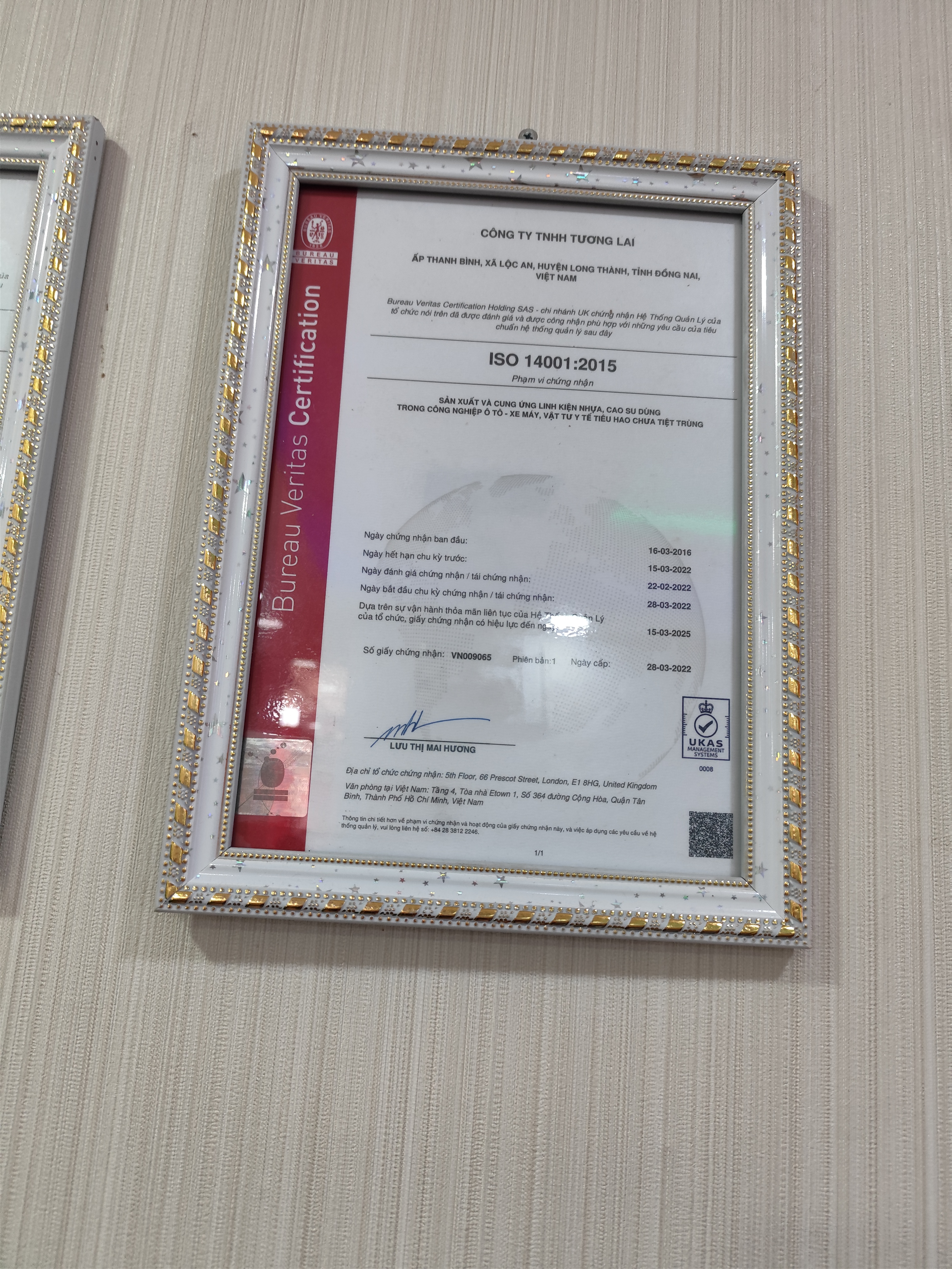 certificate.jpg